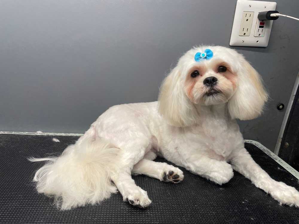 Chloe