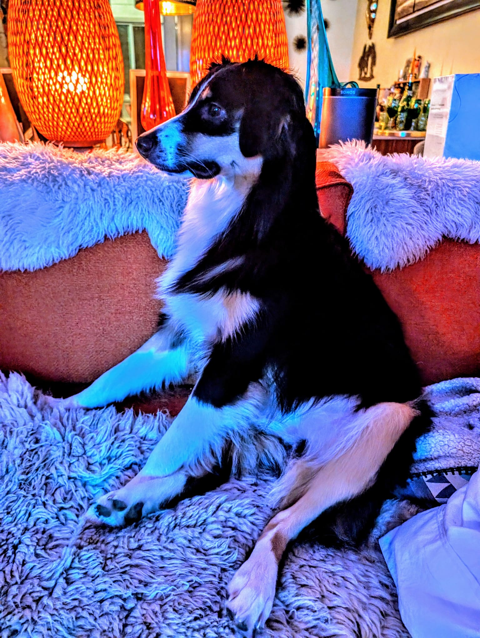Frida