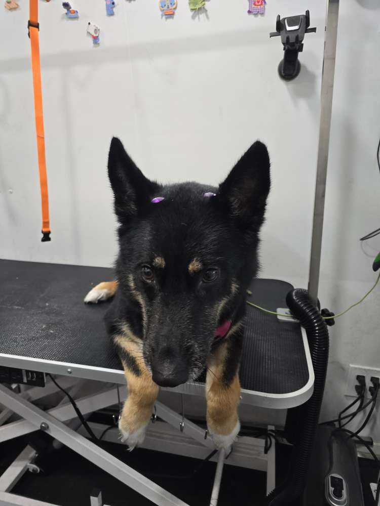 Sophie