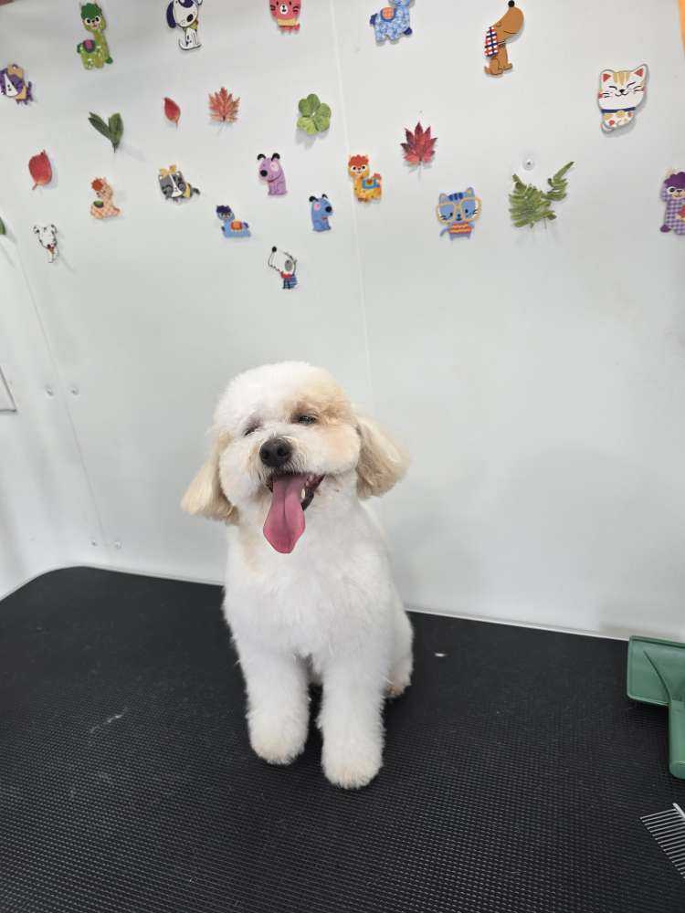 otis