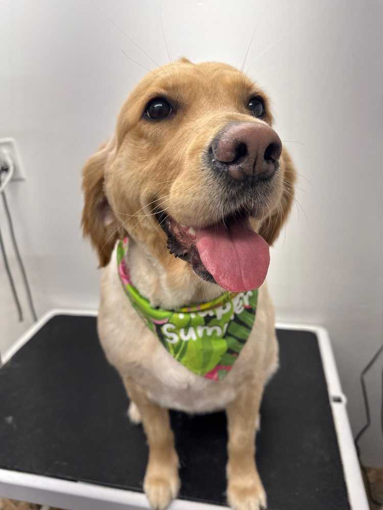 Chloe