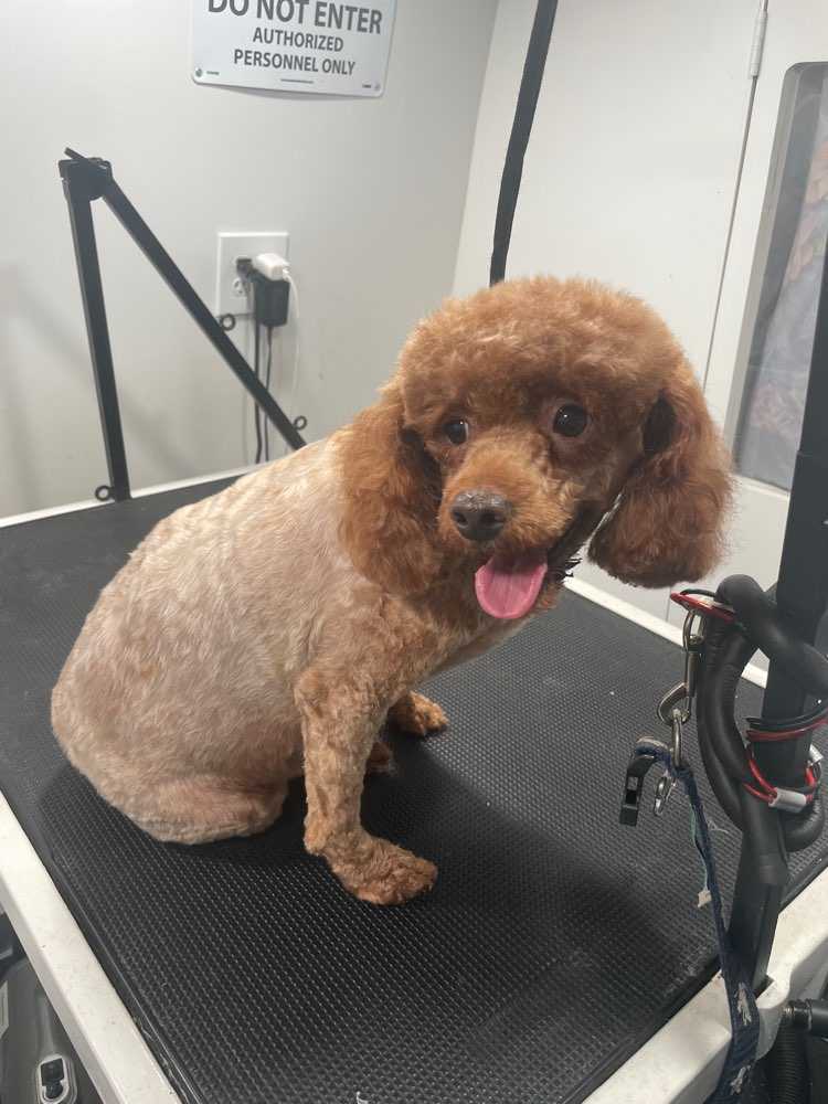 Zoey