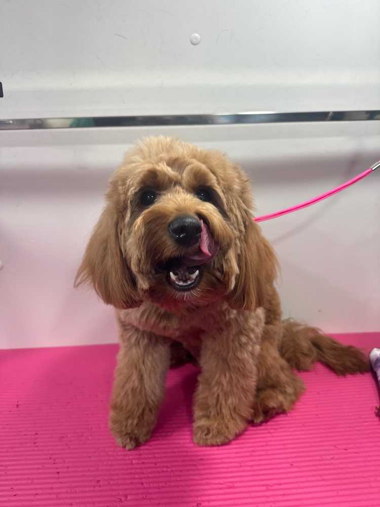 Penny