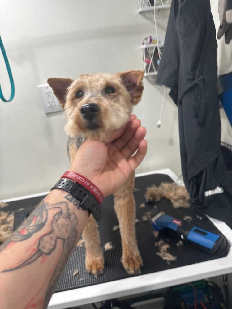 chloe