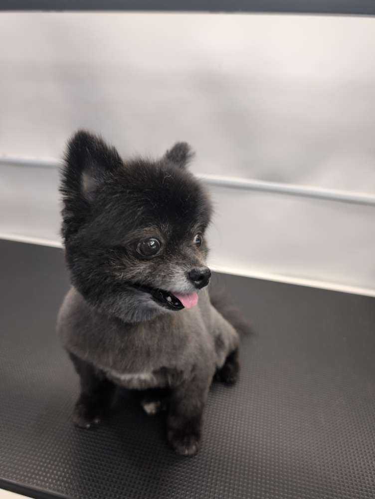 Rosie