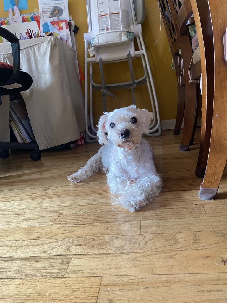 Max