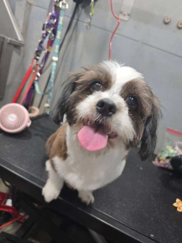 daisy mae