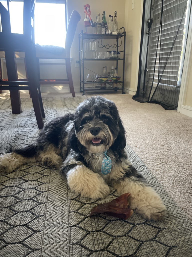 Wally