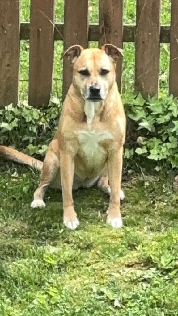 Maggie