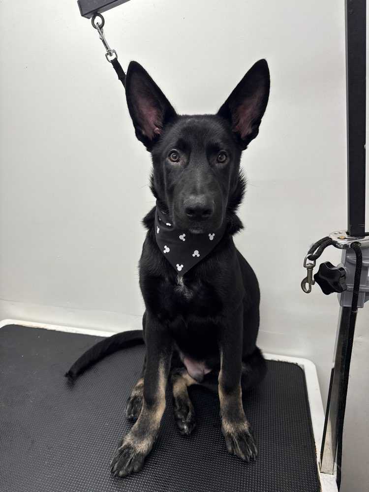 Charlie