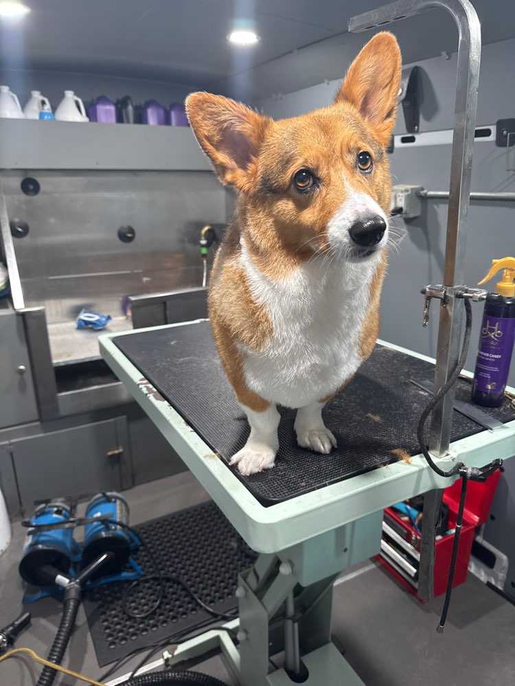 Bub