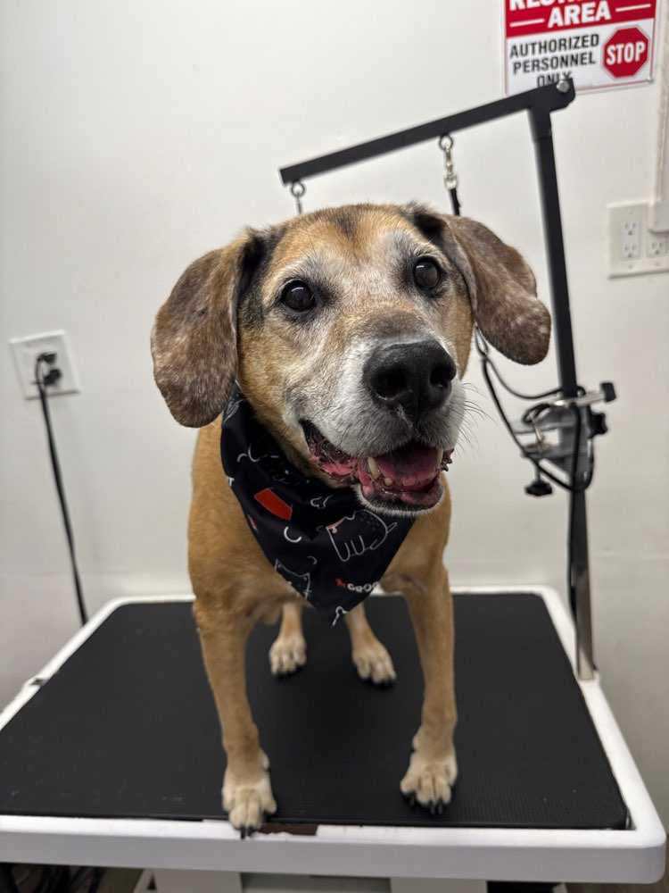 Max
