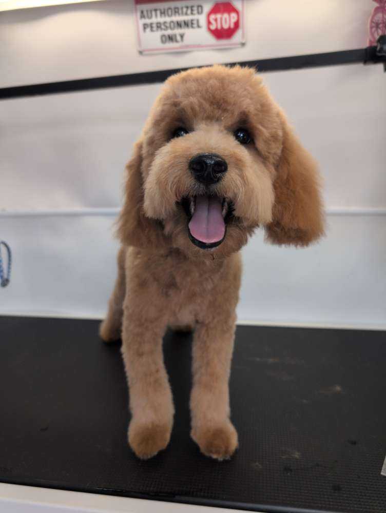 Leo