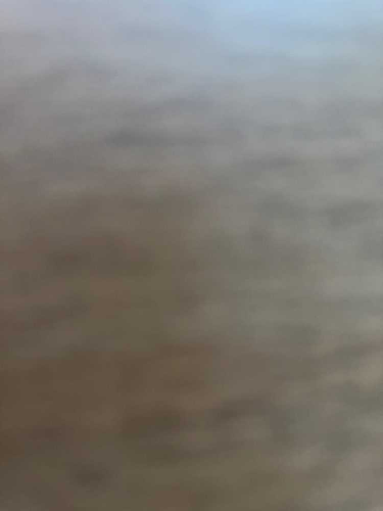 Skunkie