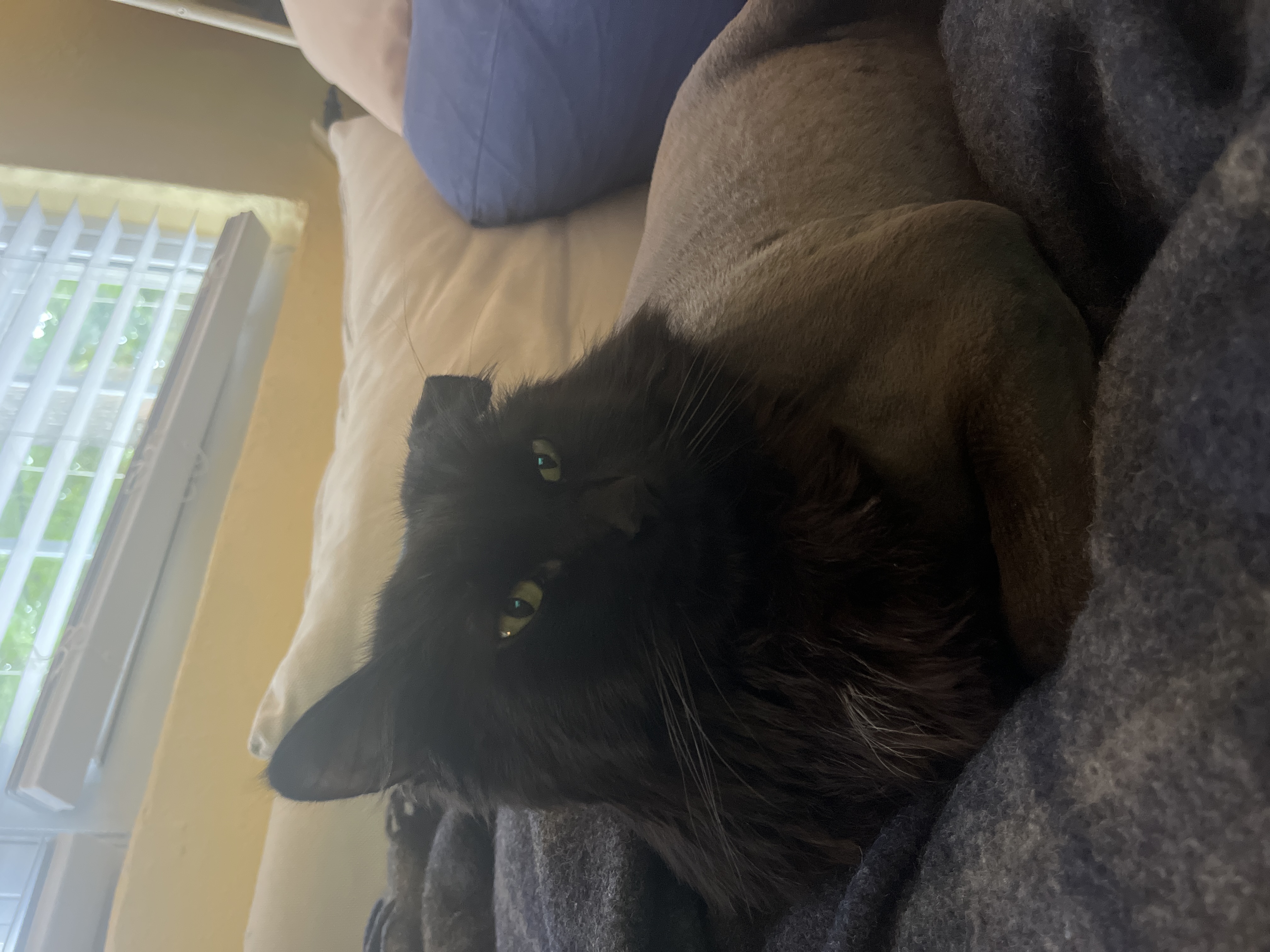 Jack