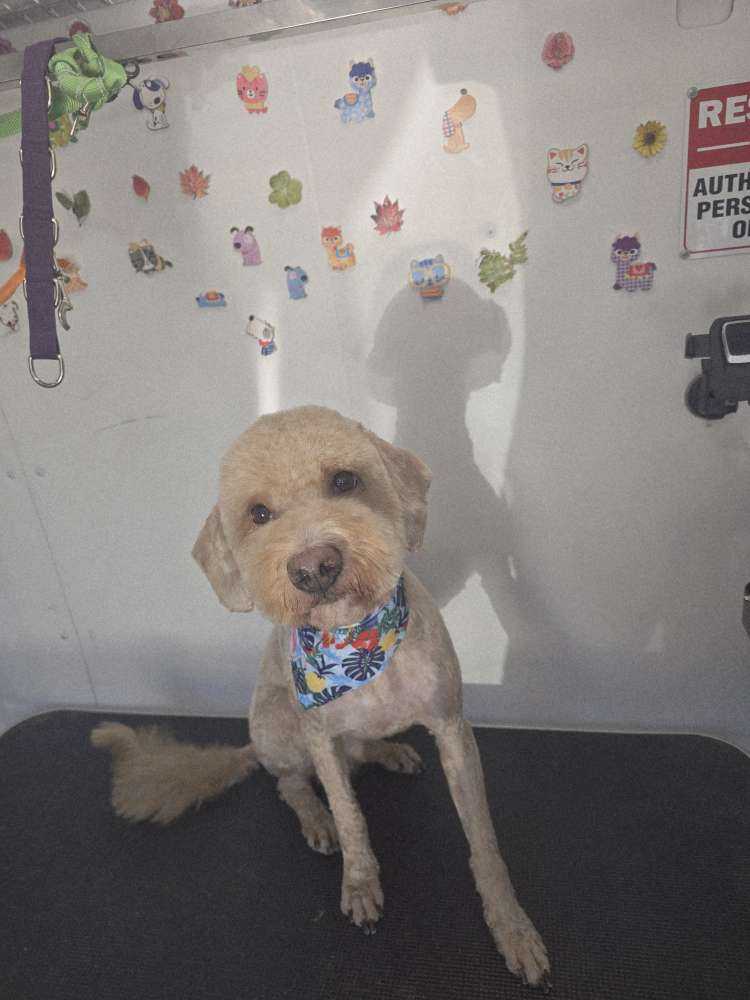 Benny