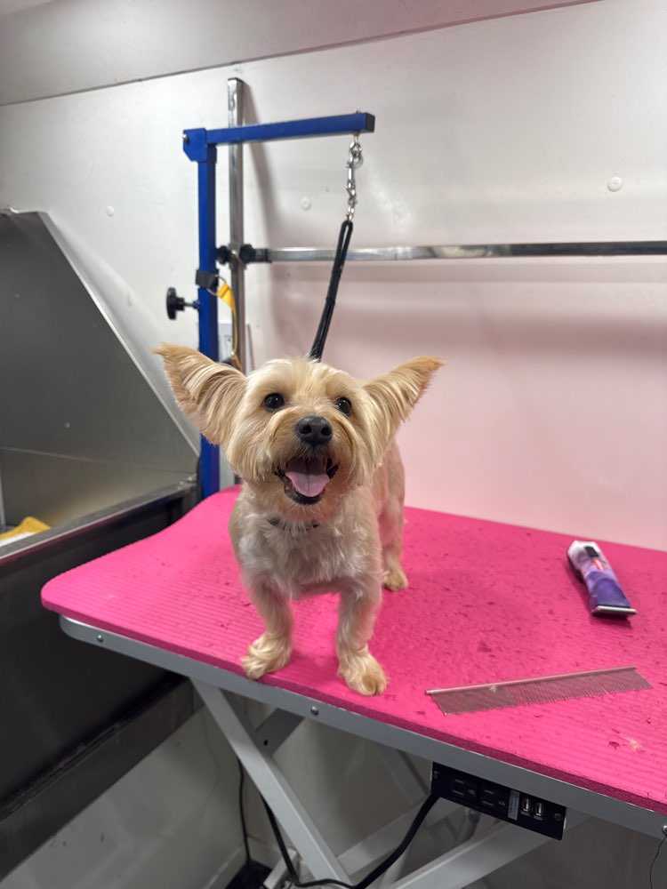 Coco