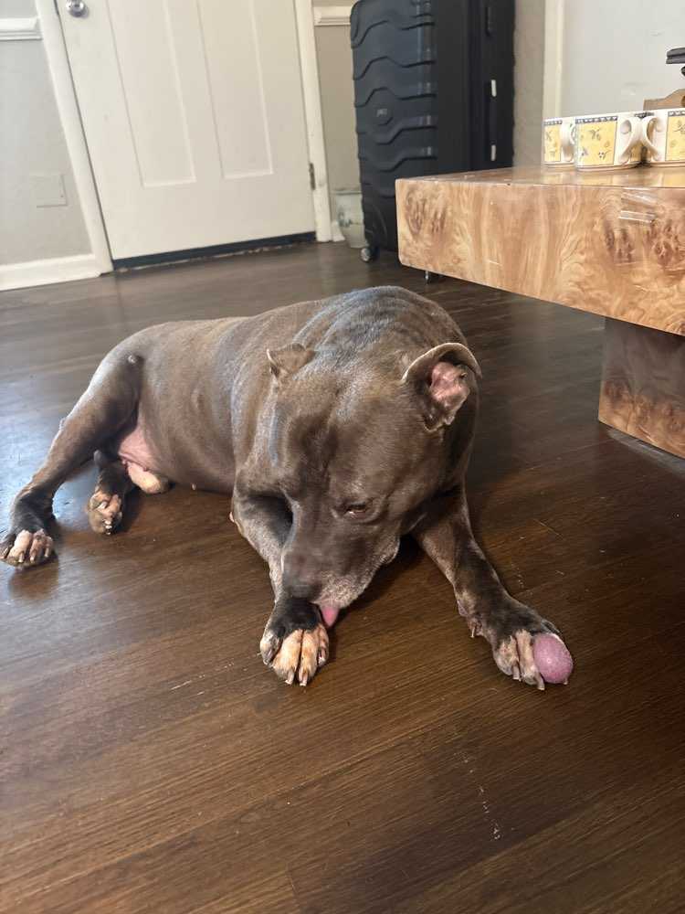 Big Baby