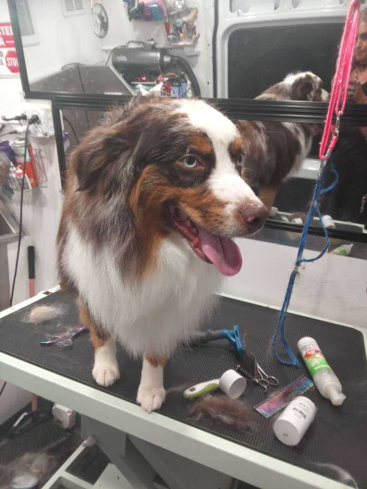 skye