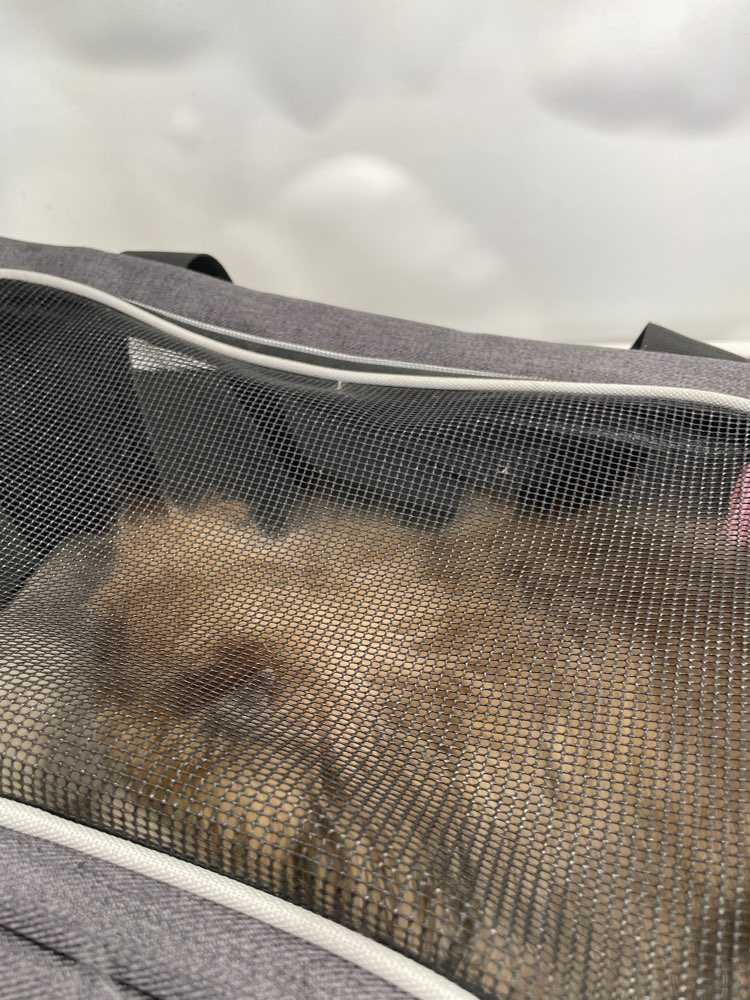 Milo