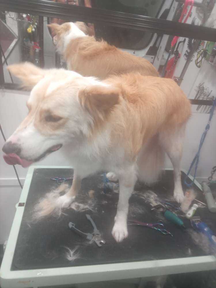 hugo