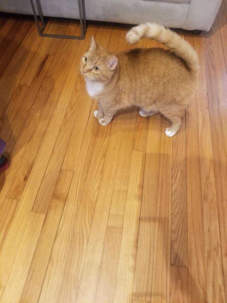 Chloe