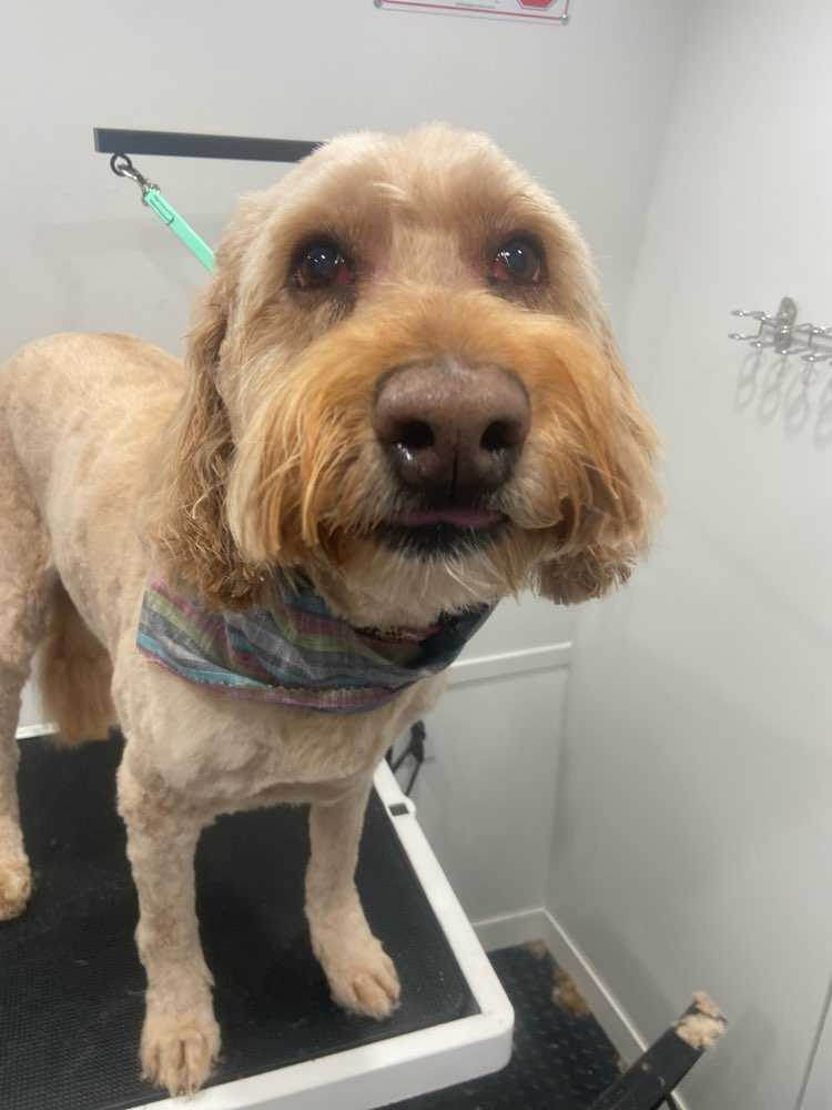 Sam