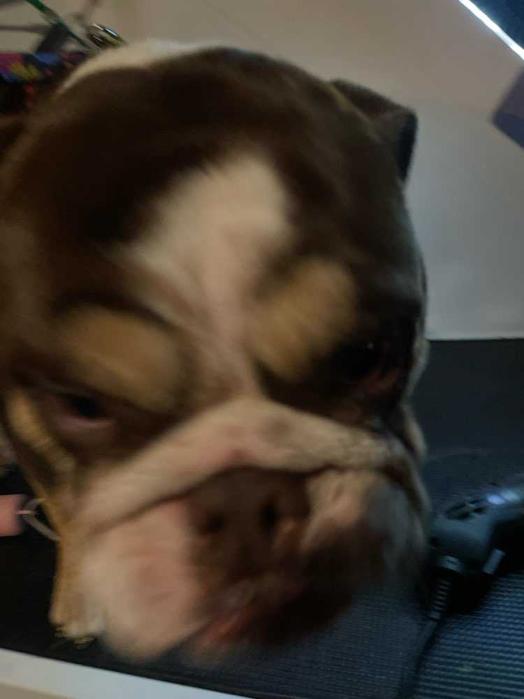 TaterTot