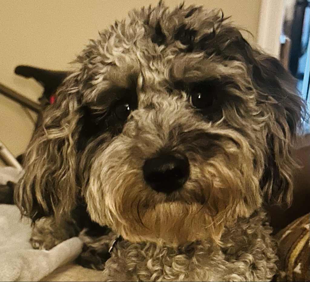 Spunky