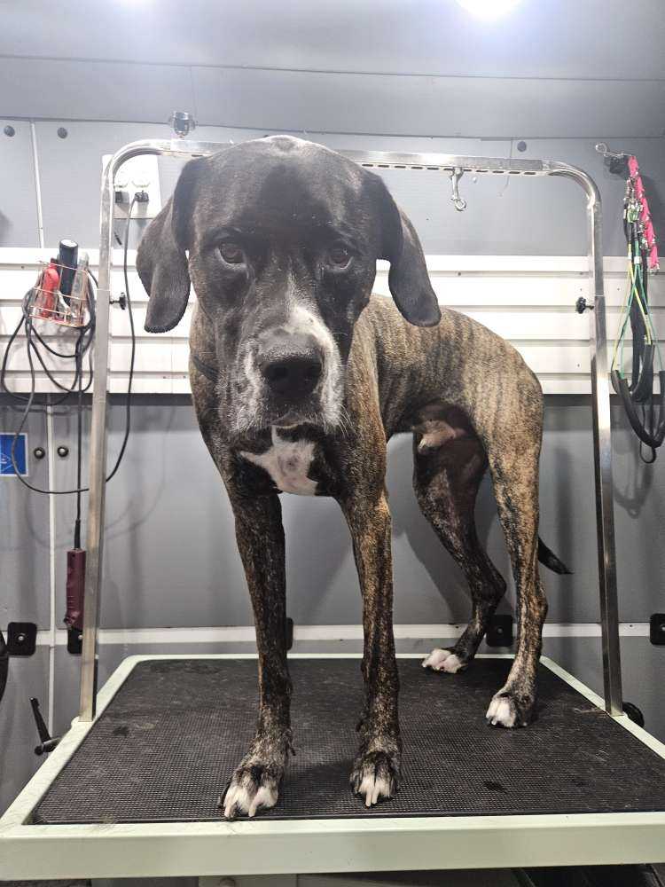 Max
