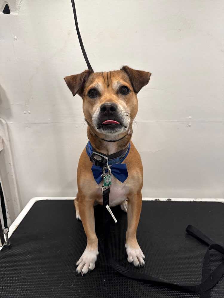Max