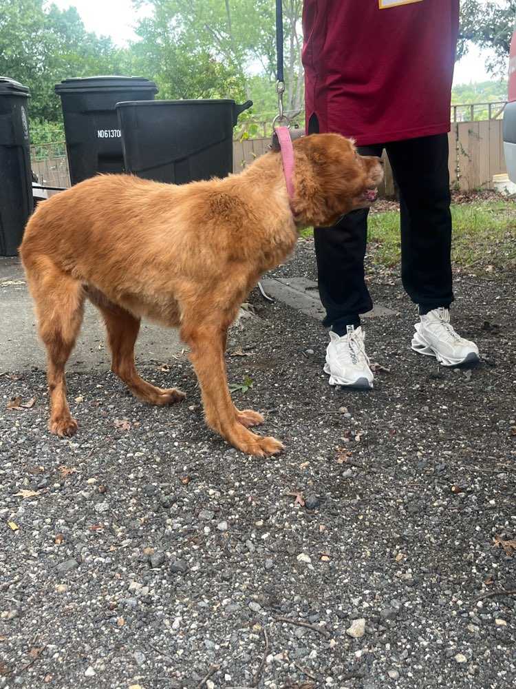 Max