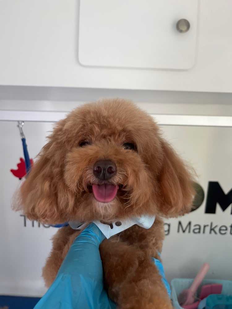 Charlie 