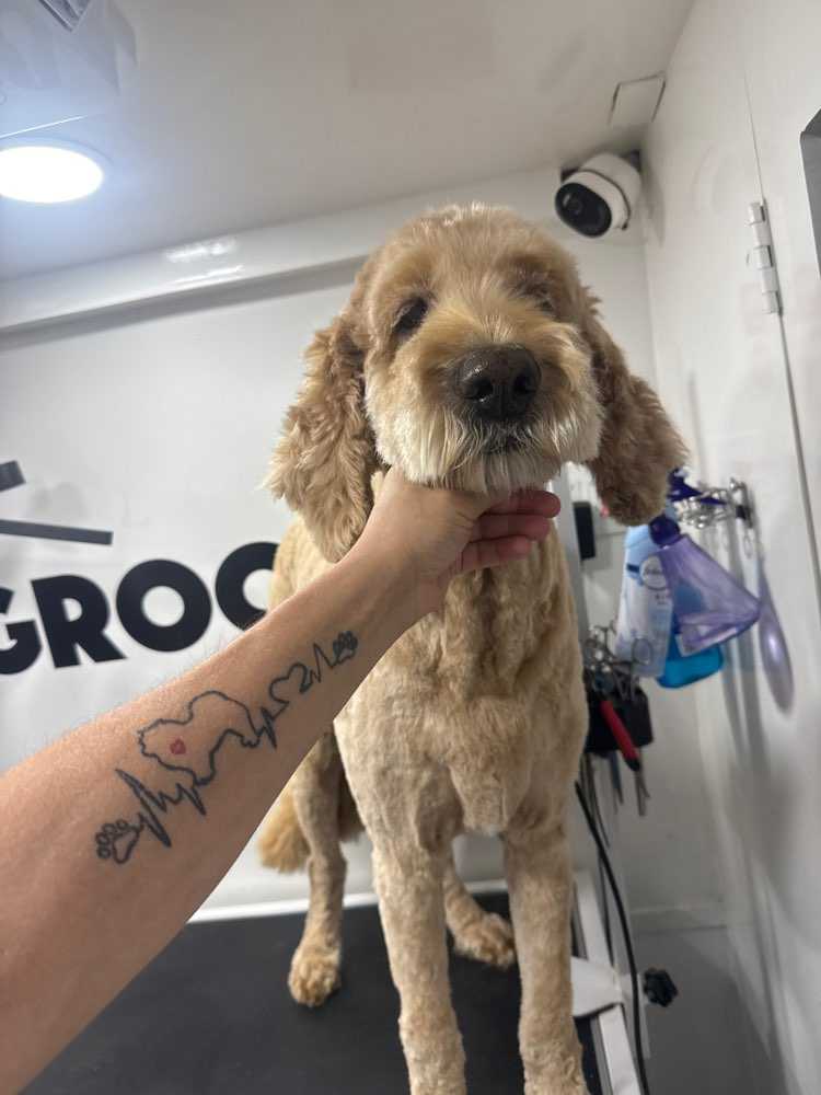 Finn