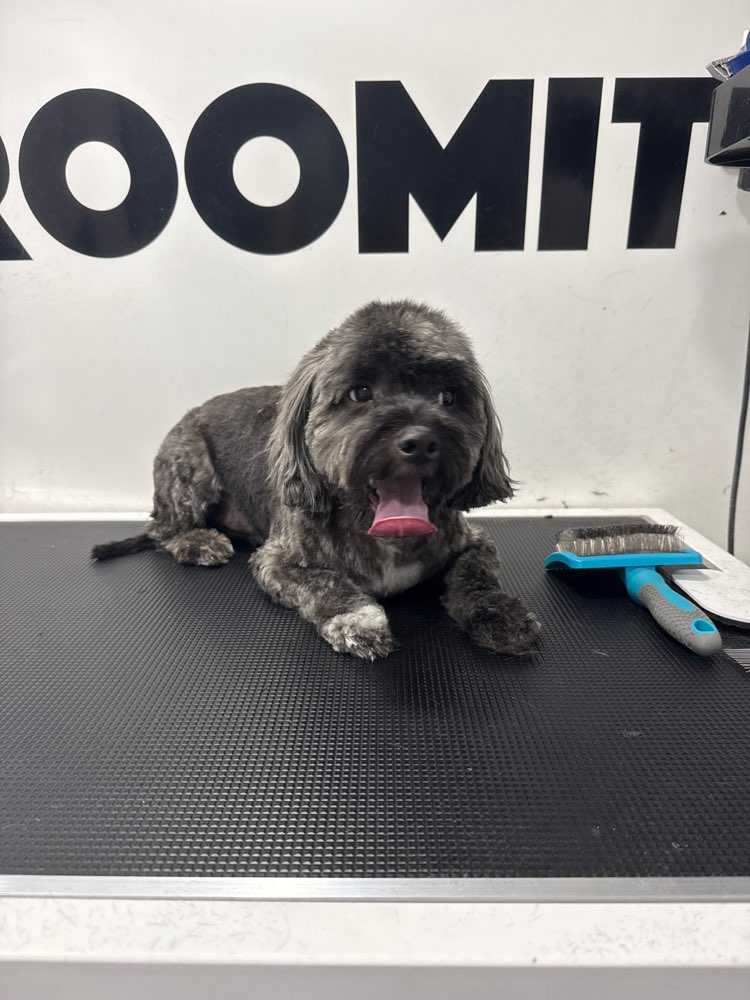 Winston