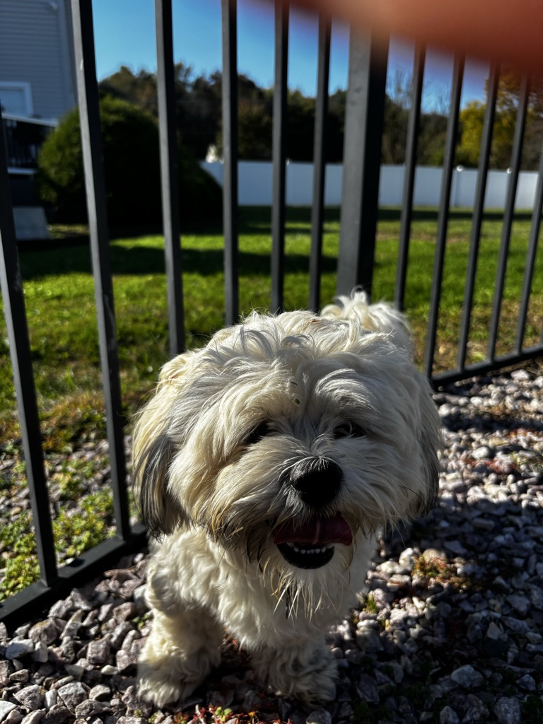 Max