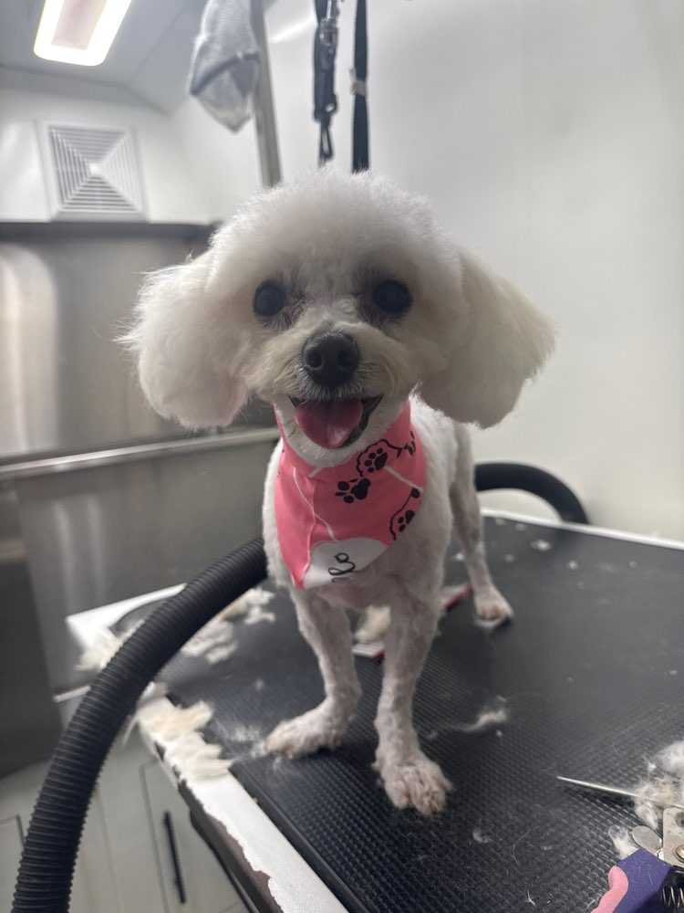 Mia