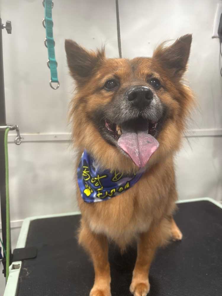 Finn