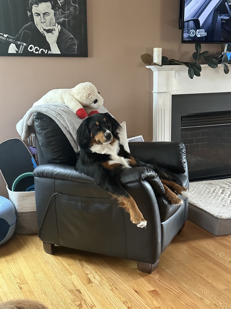 Lulu