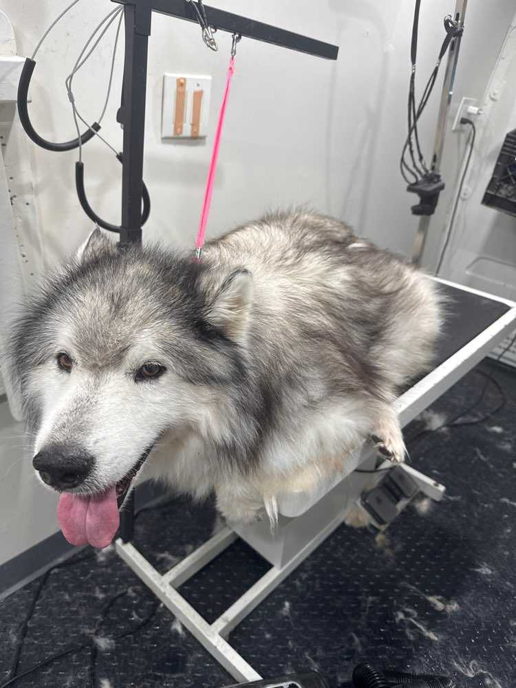 Tahki