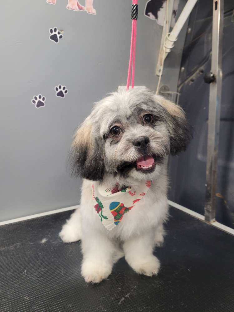 Ella