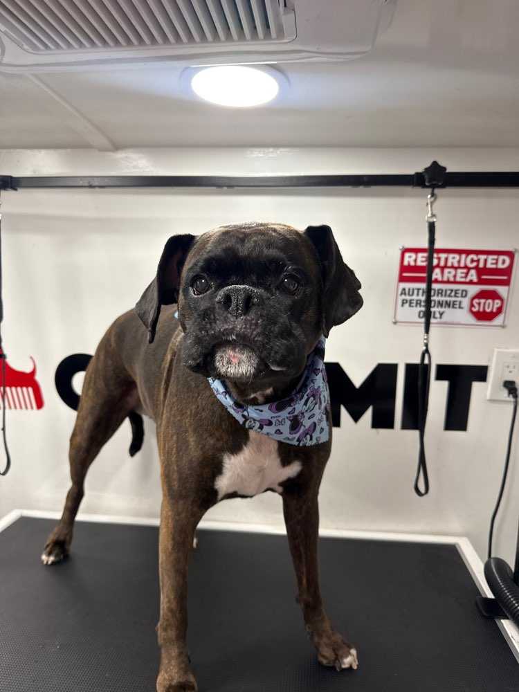 Coco