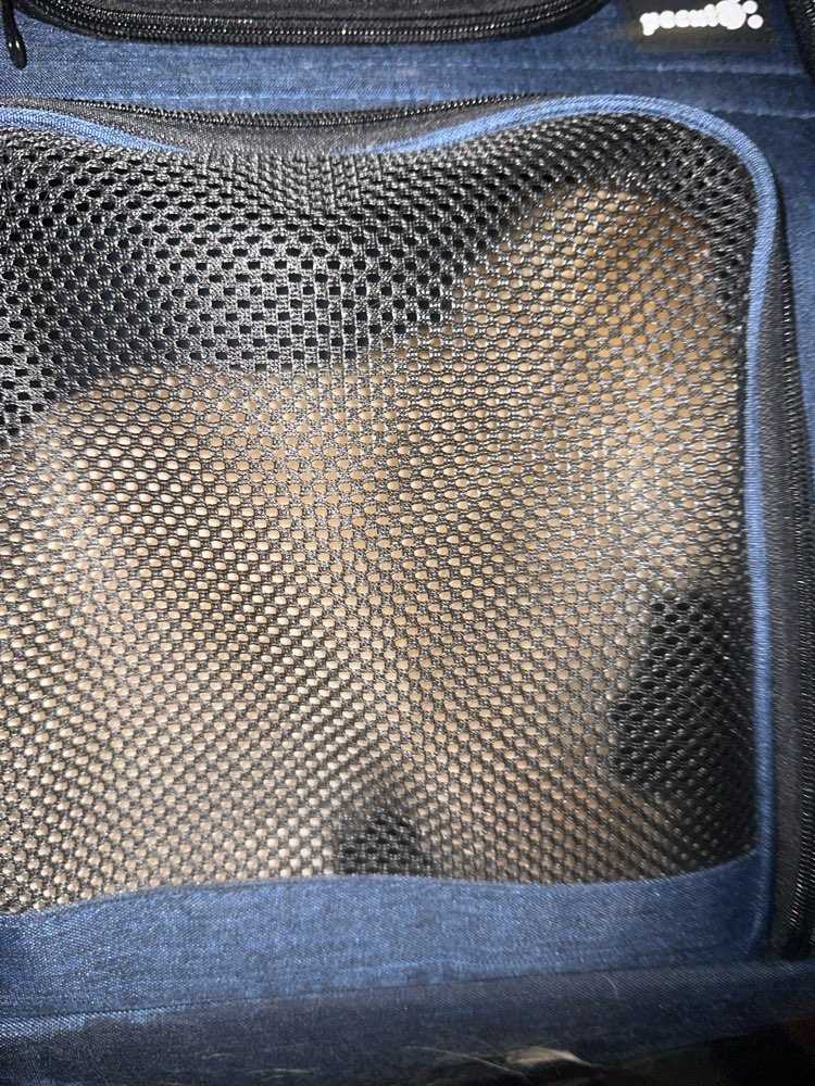Pet