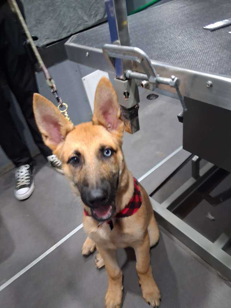 Argo
