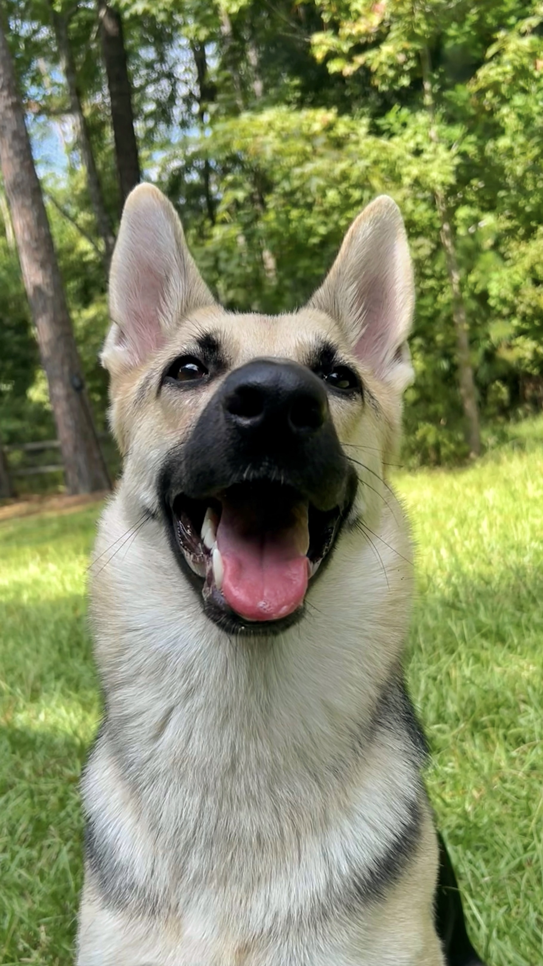 Athena