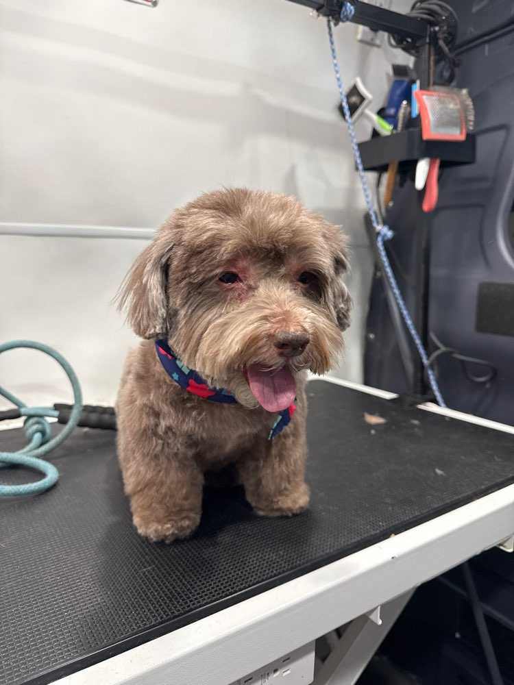 Max