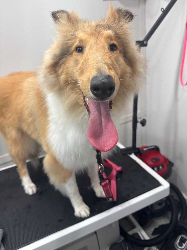 Winnie