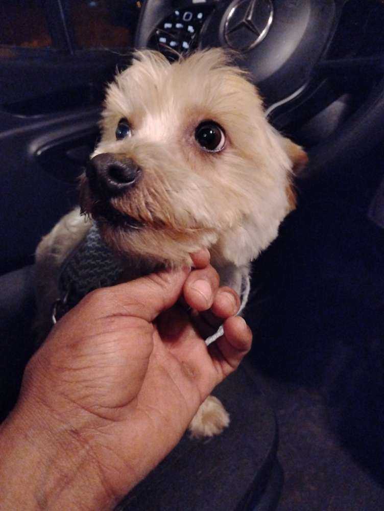 Rocky