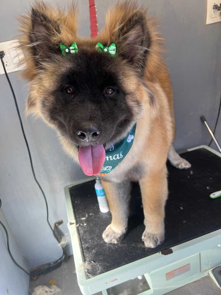 Kita