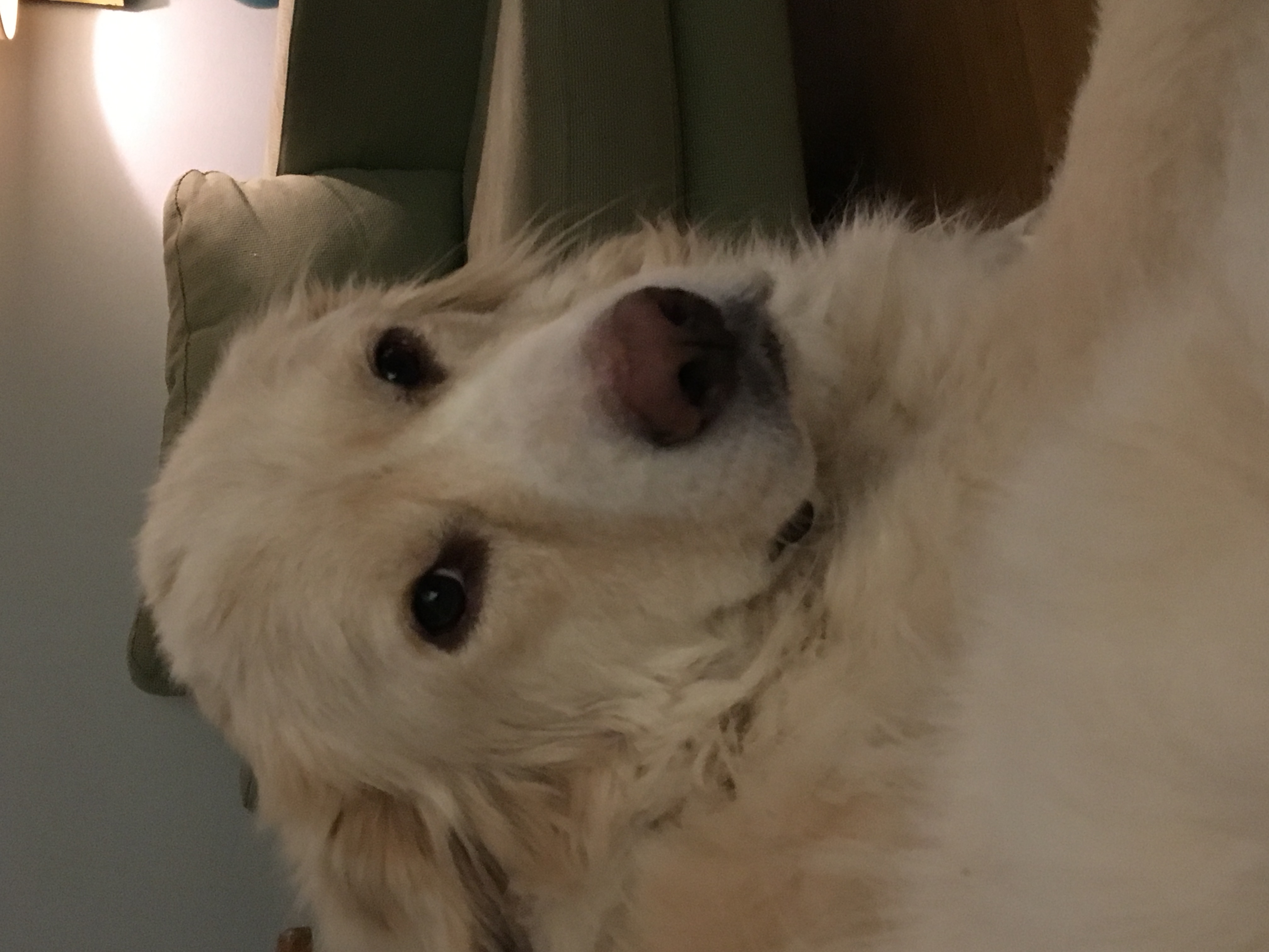 Finnegan